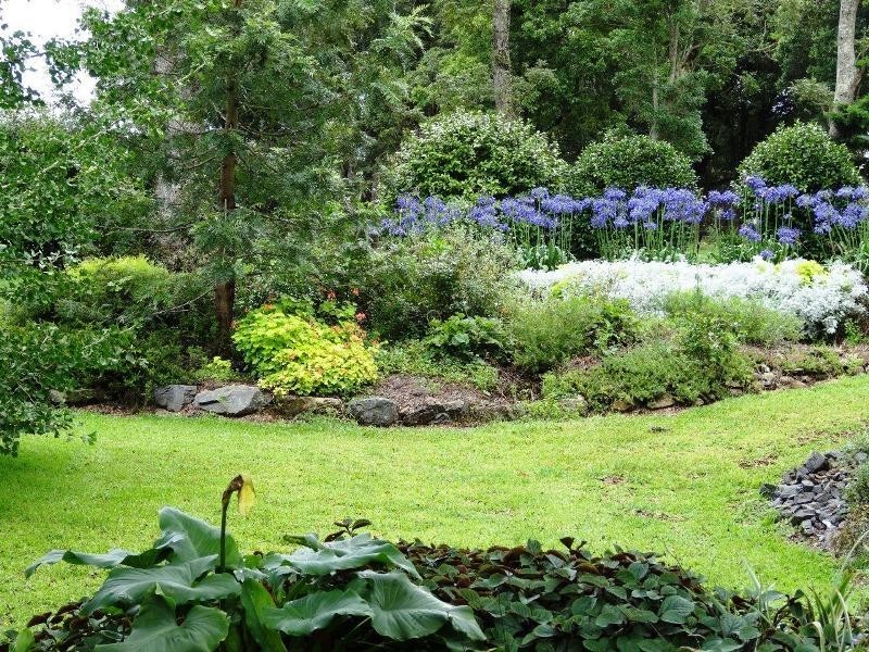 667 Old Coast Road, Dorrigo NSW 2453