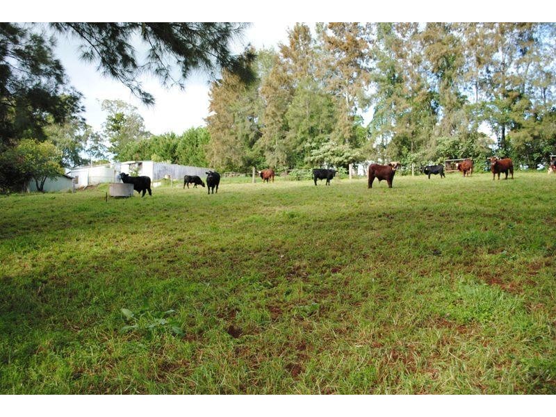 667 Old Coast Road, Dorrigo NSW 2453