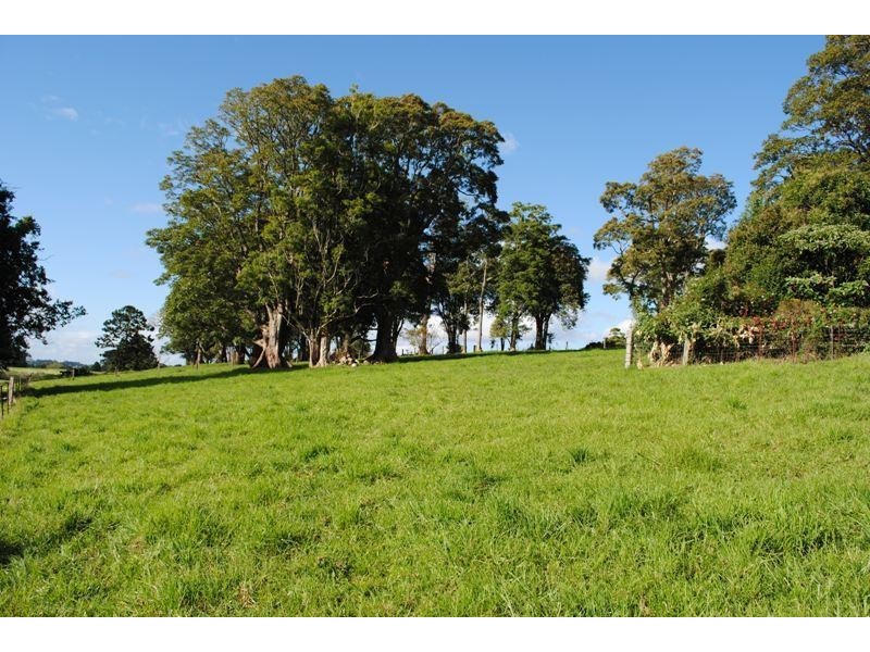 667 Old Coast Road, Dorrigo NSW 2453