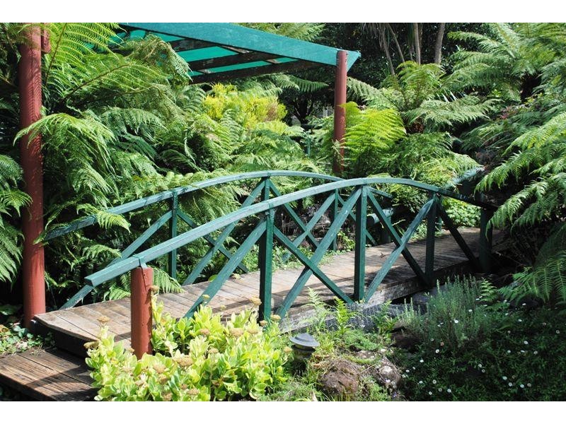 1 Tamarind  Avenue, Dorrigo NSW 2453