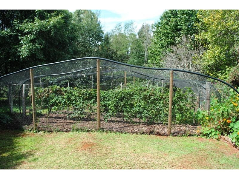 1 Tamarind  Avenue, Dorrigo NSW 2453
