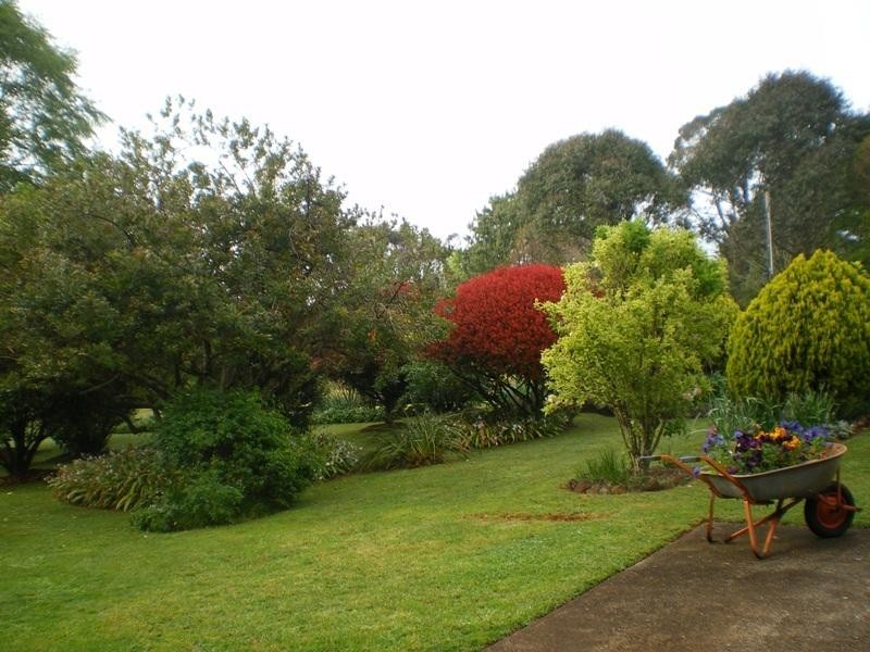 1 Tamarind  Avenue, Dorrigo NSW 2453