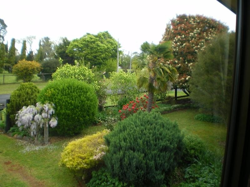 1 Tamarind  Avenue, Dorrigo NSW 2453