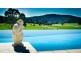 303 Slingsbys  Road, Dorrigo NSW 2453