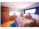 303 Slingsbys  Road, Dorrigo NSW 2453