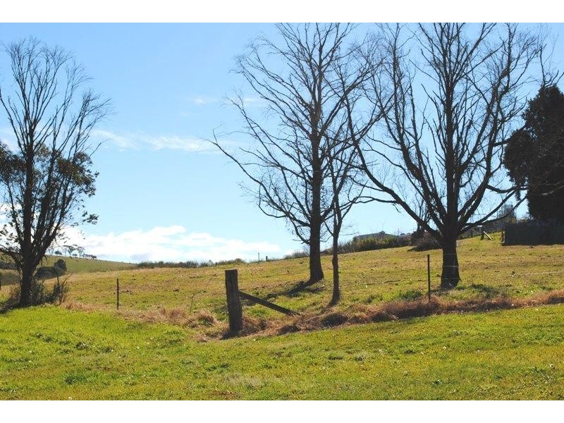 16 Vine Street, Dorrigo NSW 2453