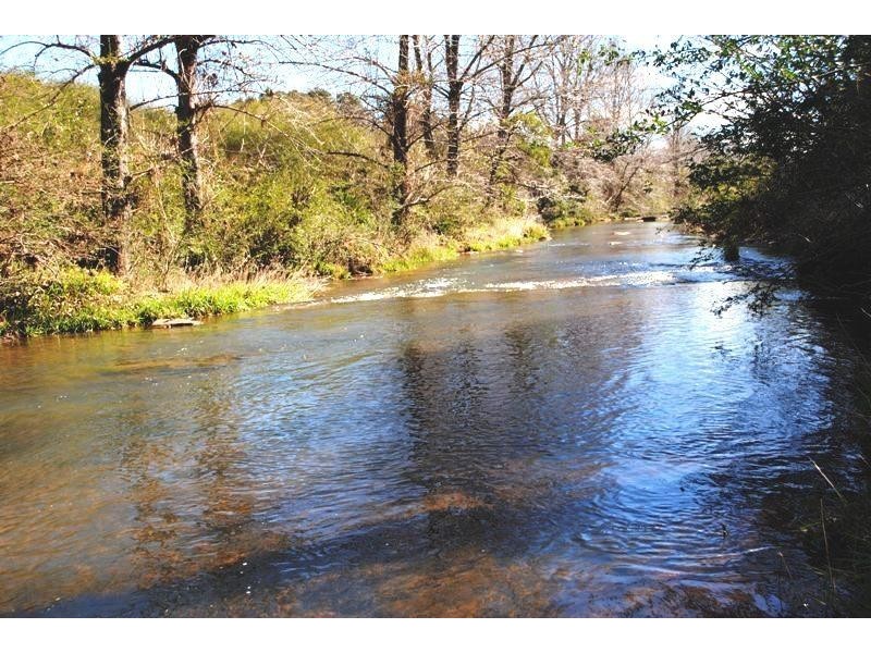 16 Vine Street, Dorrigo NSW 2453