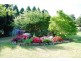 183 Muldiva Road, Dorrigo NSW 2453