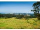 183 Muldiva Road, Dorrigo NSW 2453