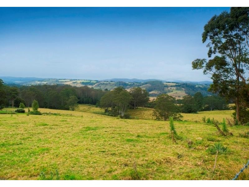 183 Muldiva Road, Dorrigo NSW 2453