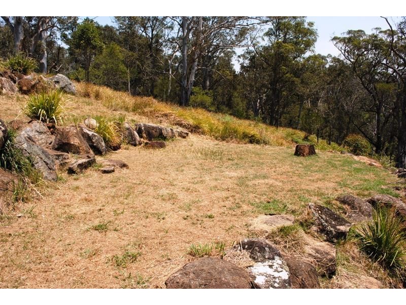 96 Harness Cask  Road, Dorrigo NSW 2453