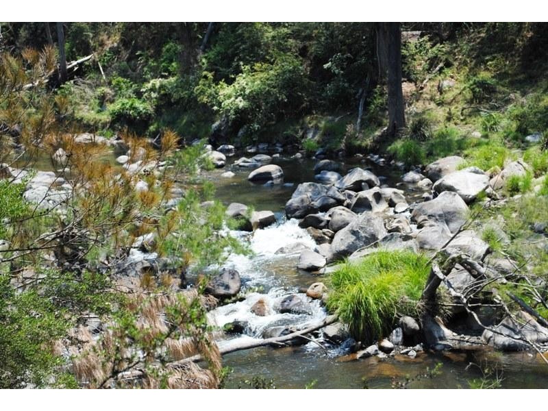 96 Harness Cask  Road, Dorrigo NSW 2453