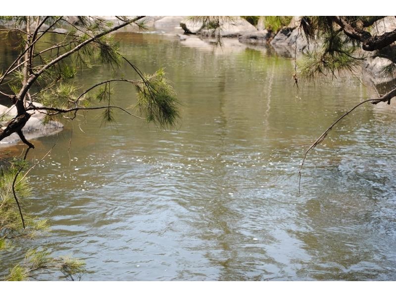 96 Harness Cask  Road, Dorrigo NSW 2453