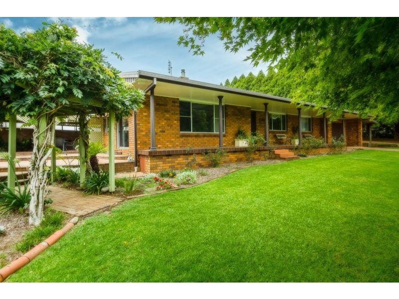 40 Tyringham  Road, Dorrigo NSW 2453