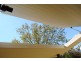 95 Hickory  Street, Dorrigo NSW 2453