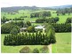 7986 Grafton Road, Ebor NSW 2453