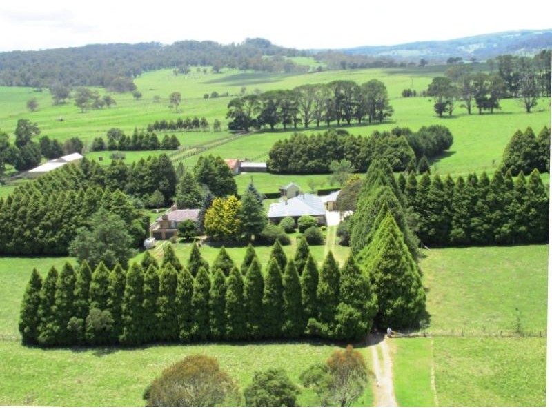 7986 Grafton Road, Ebor NSW 2453