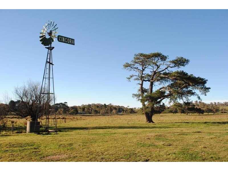 7986 Grafton Road, Ebor NSW 2453