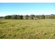 7986 Grafton Road, Ebor NSW 2453