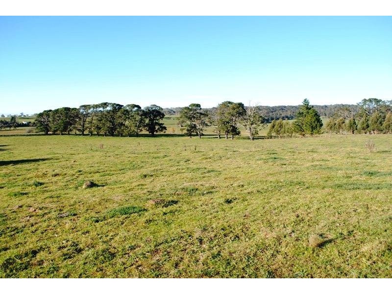 7986 Grafton Road, Ebor NSW 2453