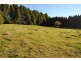 7986 Grafton Road, Ebor NSW 2453