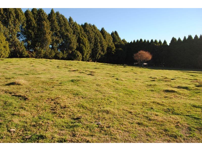 7986 Grafton Road, Ebor NSW 2453