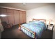 7986 Grafton Road, Ebor NSW 2453