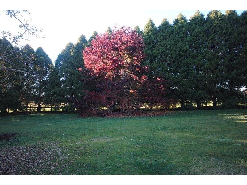 7986 Grafton Road, Ebor NSW 2453