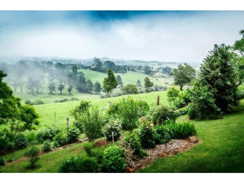 113 Old Coramba  Road, Dorrigo NSW 2453
