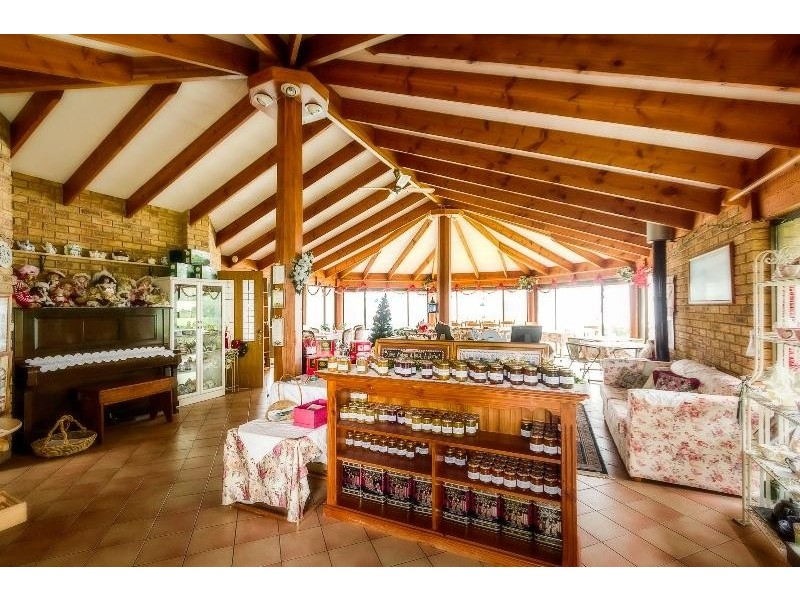 113 Old Coramba  Road, Dorrigo NSW 2453