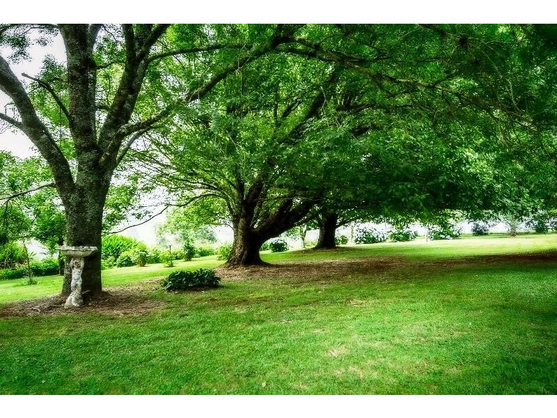 113 Old Coramba  Road, Dorrigo NSW 2453