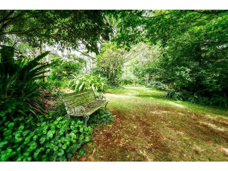 113 Old Coramba  Road, Dorrigo NSW 2453