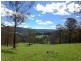 Dorrigo NSW 2453