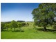 4948 Waterfall Way, Dorrigo NSW 2453