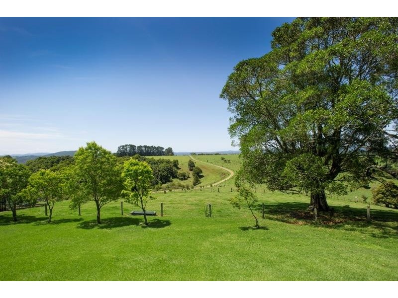 4948 Waterfall Way, Dorrigo NSW 2453