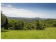 4948 Waterfall Way, Dorrigo NSW 2453