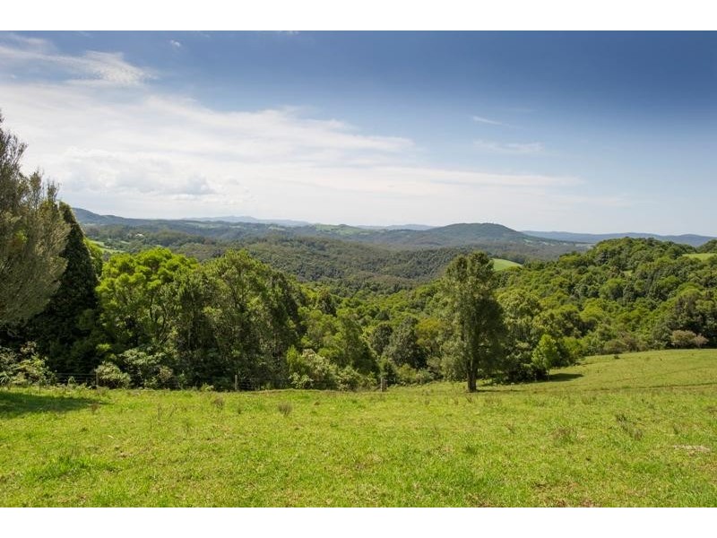 4948 Waterfall Way, Dorrigo NSW 2453