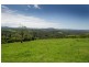 4948 Waterfall Way, Dorrigo NSW 2453