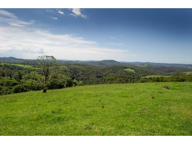 4948 Waterfall Way, Dorrigo NSW 2453