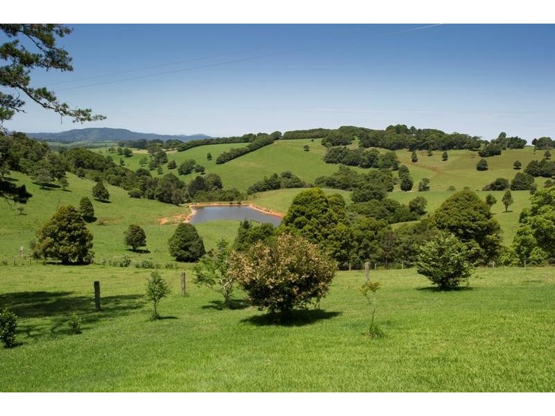 4948 Waterfall Way, Dorrigo NSW 2453