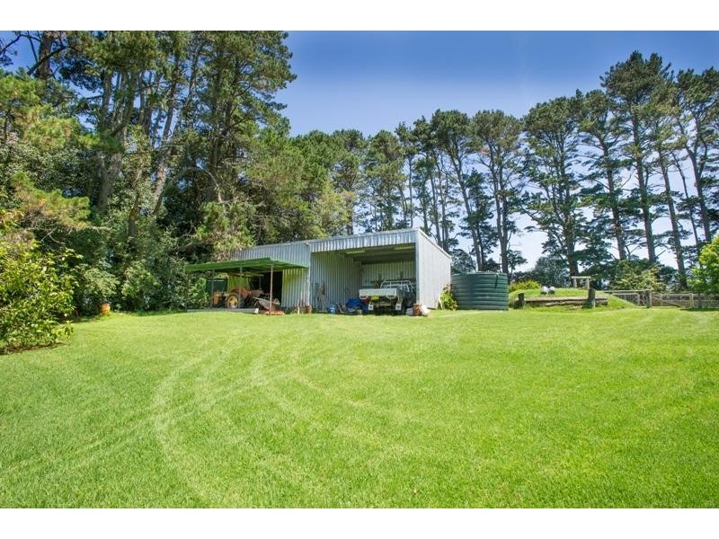 4948 Waterfall Way, Dorrigo NSW 2453