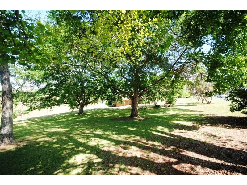 3 Oak Street, Dorrigo NSW 2453