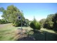 Dorrigo NSW 2453