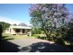 Dorrigo NSW 2453