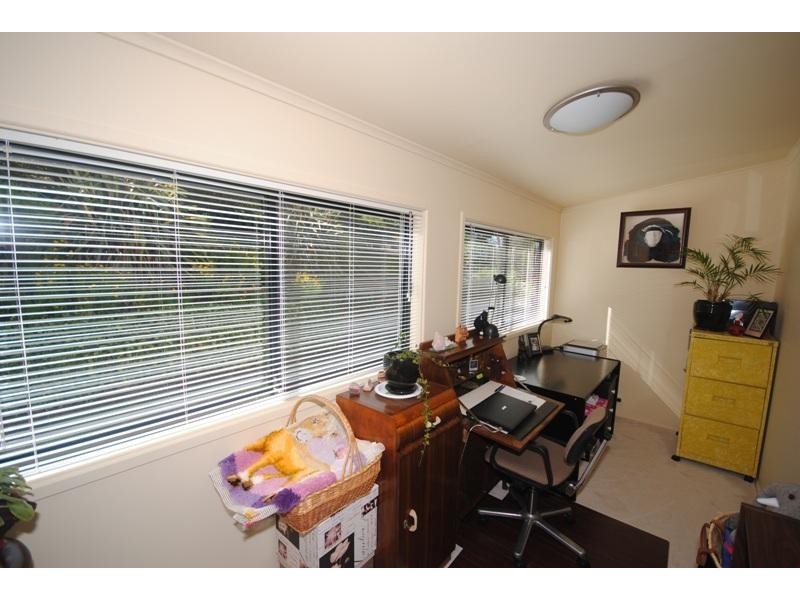 Dorrigo NSW 2453