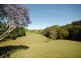 Dorrigo NSW 2453
