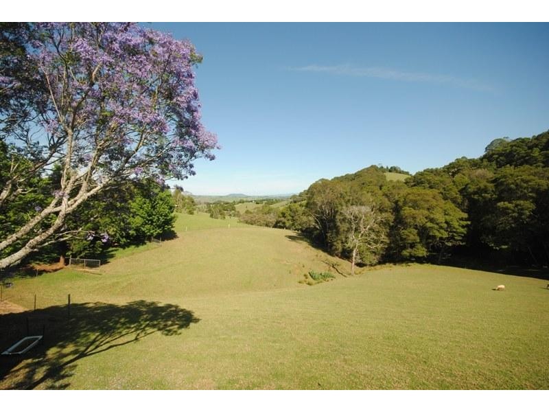 Dorrigo NSW 2453