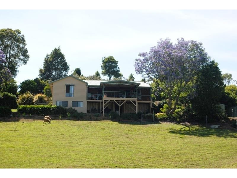 Dorrigo NSW 2453