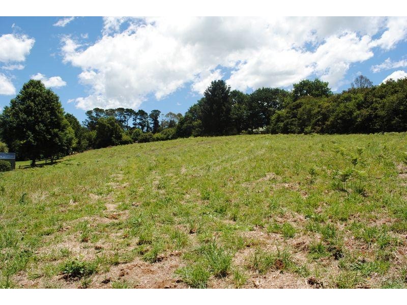 12 Elm Street, Dorrigo NSW 2453
