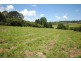 12 Elm Street, Dorrigo NSW 2453